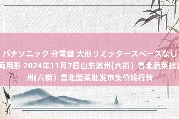 パナソニック 分電盤 大形リミッタースペースなし 露出・半埋込両用形 2024年11月7日山东滨州(六街）鲁北蔬菜批发市集价钱行情