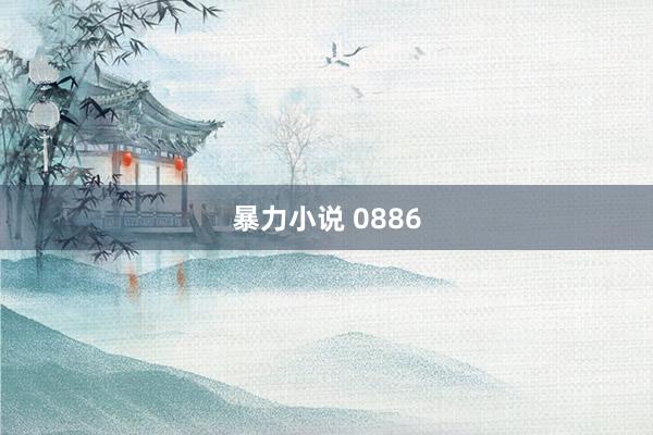 暴力小说 0886