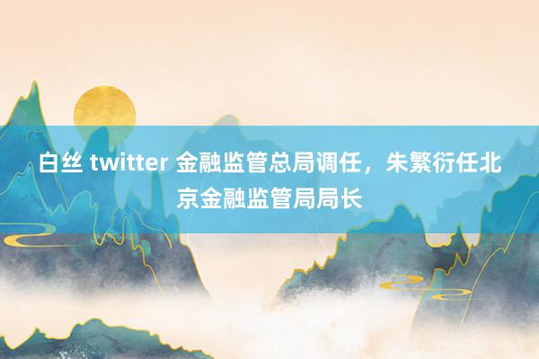 白丝 twitter 金融监管总局调任，朱繁衍任北京金融监管局局长