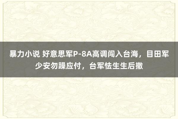 暴力小说 好意思军P-8A高调闯入台海，目田军少安勿躁应付，台军怯生生后撤