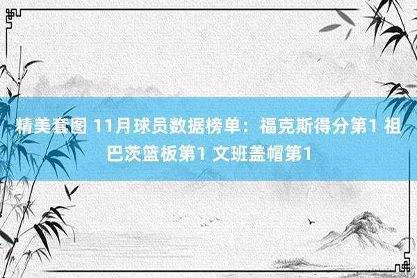 精美套图 11月球员数据榜单：福克斯得分第1 祖巴茨篮板第1 文班盖帽第1