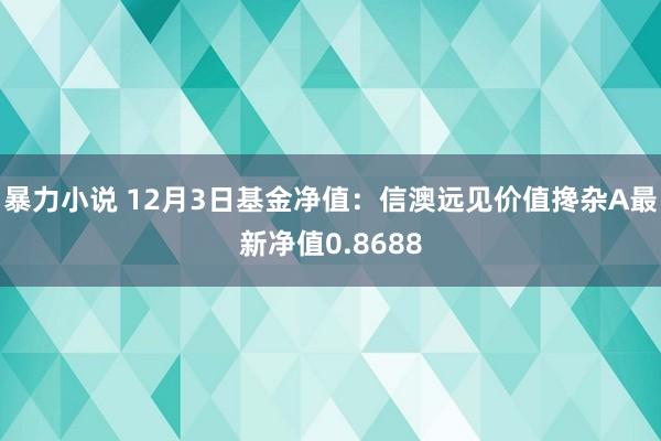 暴力小说 12月3日基金净值：信澳远见价值搀杂A最新净值0.8688