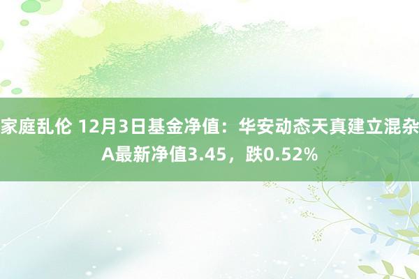 家庭乱伦 12月3日基金净值：华安动态天真建立混杂A最新净值3.45，跌0.52%