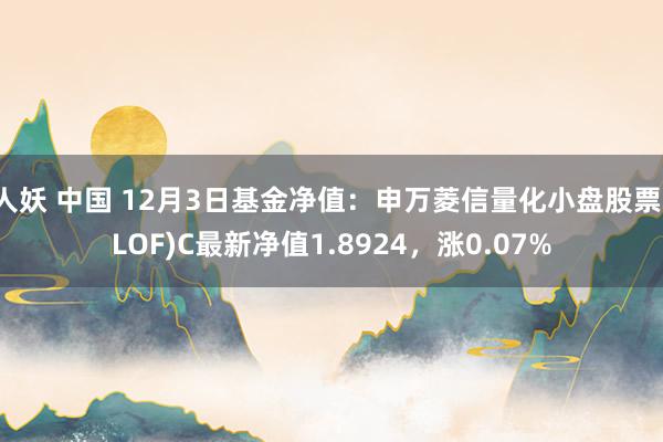 人妖 中国 12月3日基金净值：申万菱信量化小盘股票(LOF)C最新净值1.8924，涨0.07%