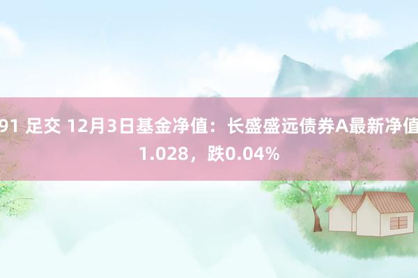 91 足交 12月3日基金净值：长盛盛远债券A最新净值1.028，跌0.04%