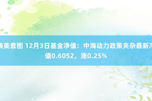 精美套图 12月3日基金净值：中海动力政策夹杂最新净值0.6052，涨0.25%