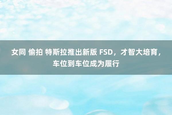 女同 偷拍 特斯拉推出新版 FSD，才智大培育，车位到车位成为履行