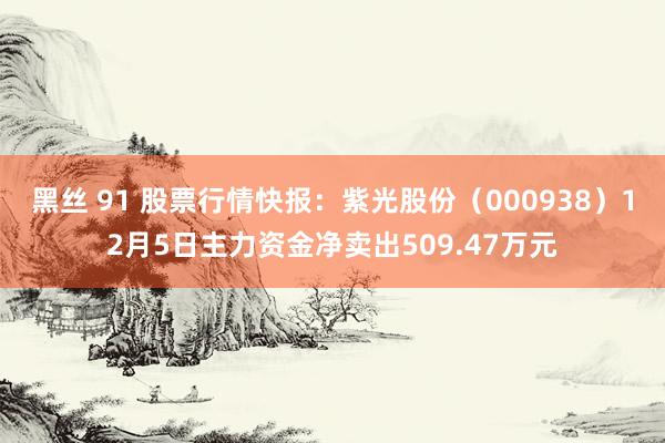 黑丝 91 股票行情快报：紫光股份（000938）12月5日主力资金净卖出509.47万元