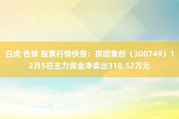 白虎 色情 股票行情快报：顶固集创（300749）12月5日主力资金净卖出318.52万元