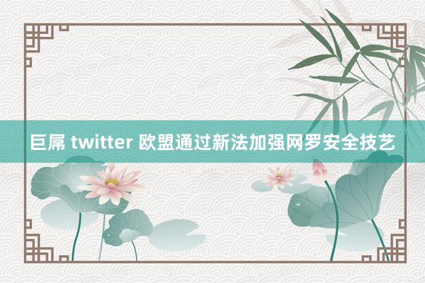 巨屌 twitter 欧盟通过新法加强网罗安全技艺