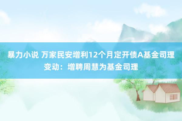 暴力小说 万家民安增利12个月定开债A基金司理变动：增聘周慧为基金司理