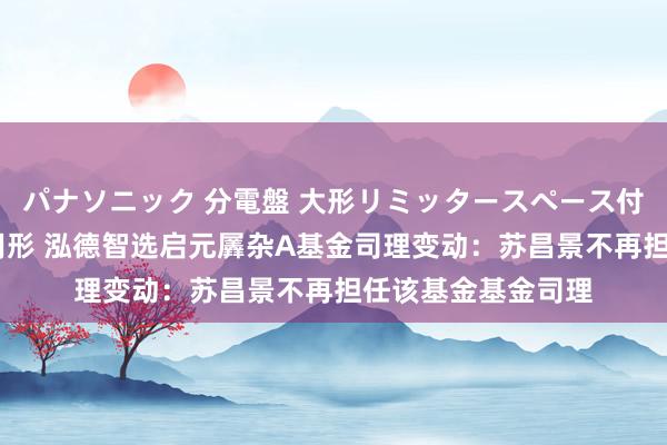 パナソニック 分電盤 大形リミッタースペース付 露出・半埋込両用形 泓德智选启元羼杂A基金司理变动：苏昌景不再担任该基金基金司理