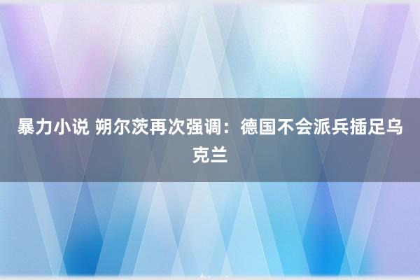 暴力小说 朔尔茨再次强调：德国不会派兵插足乌克兰