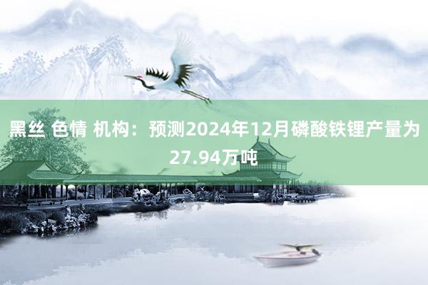 黑丝 色情 机构：预测2024年12月磷酸铁锂产量为27.94万吨