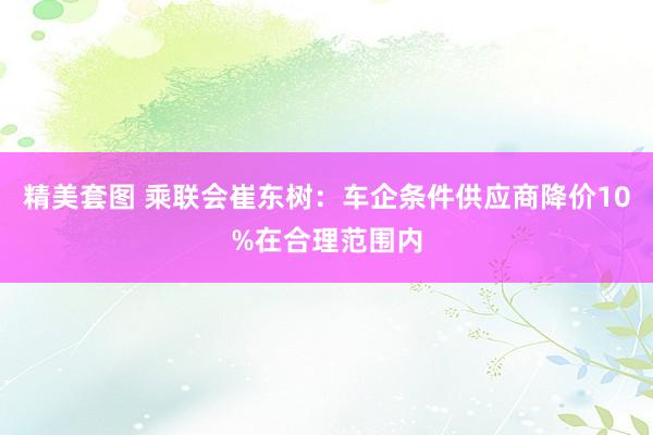 精美套图 乘联会崔东树：车企条件供应商降价10%在合理范围内