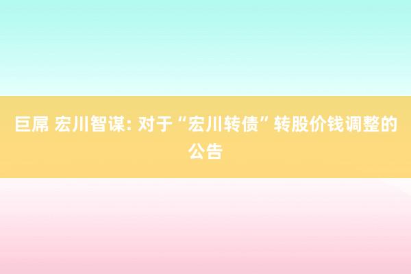 巨屌 宏川智谋: 对于“宏川转债”转股价钱调整的公告