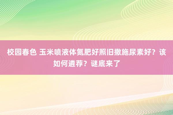 校园春色 玉米喷液体氮肥好照旧撒施尿素好？该如何遴荐？谜底来了