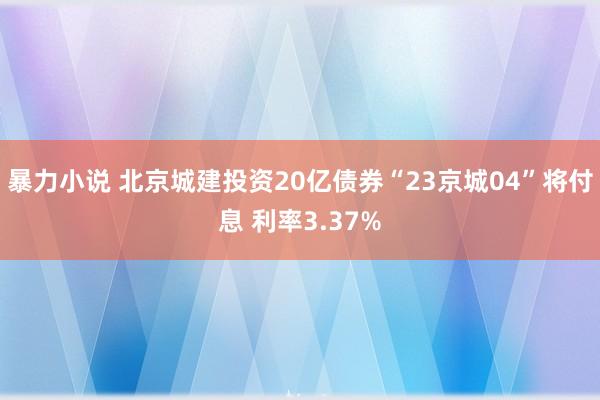 暴力小说 北京城建投资20亿债券“23京城04”将付息 利率3.37%