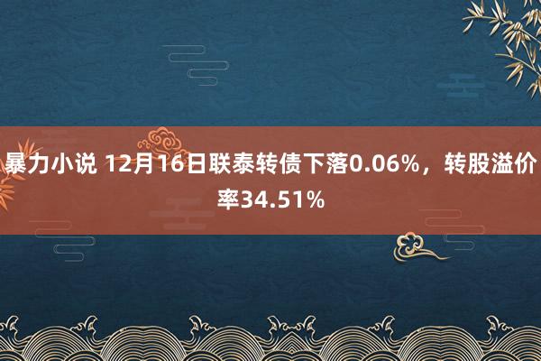 暴力小说 12月16日联泰转债下落0.06%，转股溢价率34.51%