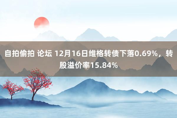 自拍偷拍 论坛 12月16日维格转债下落0.69%，转股溢价率15.84%