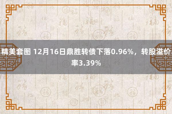 精美套图 12月16日鼎胜转债下落0.96%，转股溢价率3.39%