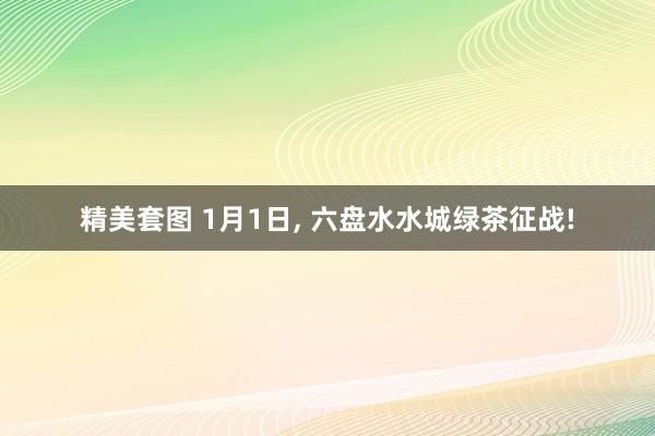 精美套图 1月1日， 六盘水水城绿茶征战!