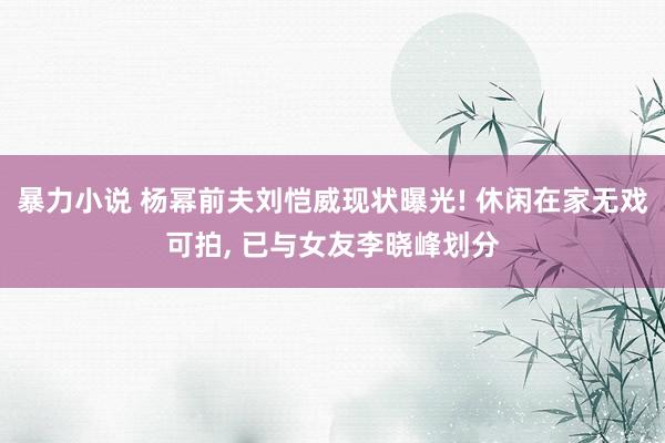 暴力小说 杨幂前夫刘恺威现状曝光! 休闲在家无戏可拍， 已与女友李晓峰划分