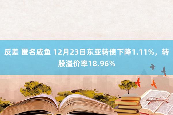 反差 匿名咸鱼 12月23日东亚转债下降1.11%，转股溢价率18.96%