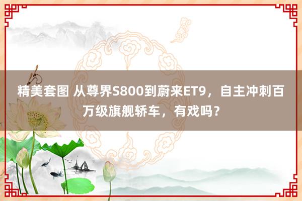 精美套图 从尊界S800到蔚来ET9，自主冲刺百万级旗舰轿车，有戏吗？