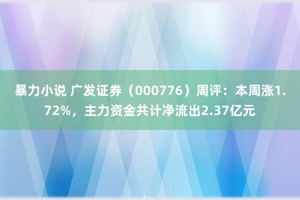 暴力小说 广发证券（000776）周评：本周涨1.72%，主力资金共计净流出2.37亿元