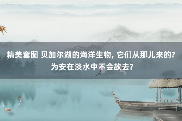 精美套图 贝加尔湖的海洋生物， 它们从那儿来的? 为安在淡水中不会故去?