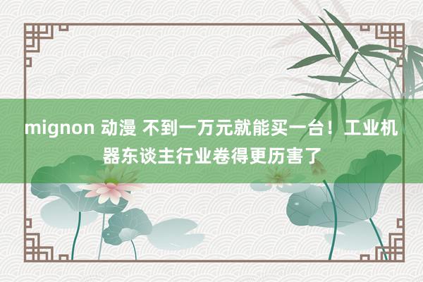 mignon 动漫 不到一万元就能买一台！工业机器东谈主行业卷得更历害了