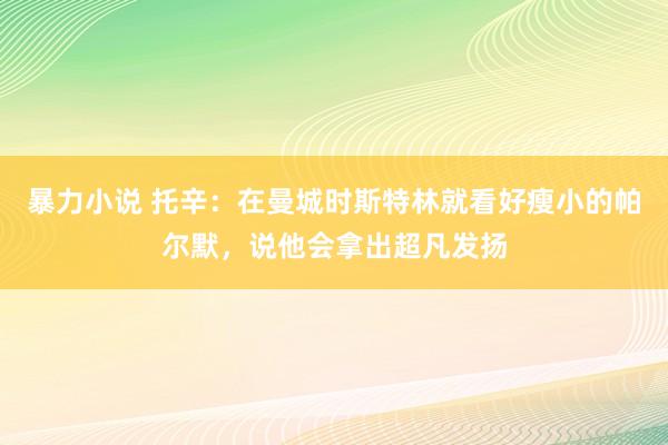 暴力小说 托辛：在曼城时斯特林就看好瘦小的帕尔默，说他会拿出超凡发扬