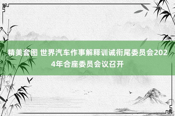 精美套图 世界汽车作事解释训诫衔尾委员会2024年合座委员会议召开