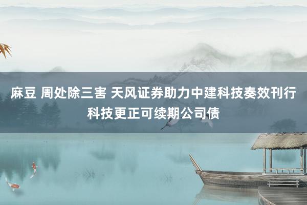 麻豆 周处除三害 天风证券助力中建科技奏效刊行科技更正可续期公司债