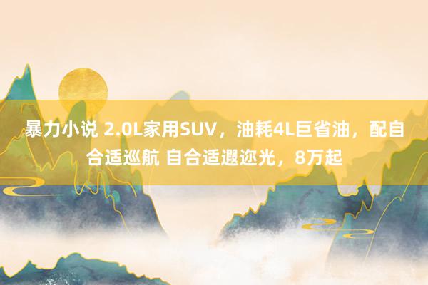 暴力小说 2.0L家用SUV，油耗4L巨省油，配自合适巡航 自合适遐迩光，8万起