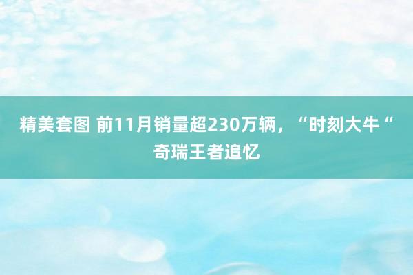 精美套图 前11月销量超230万辆，“时刻大牛“奇瑞王者追忆