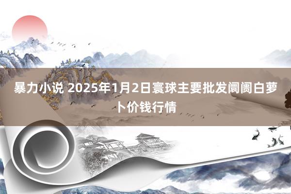 暴力小说 2025年1月2日寰球主要批发阛阓白萝卜价钱行情