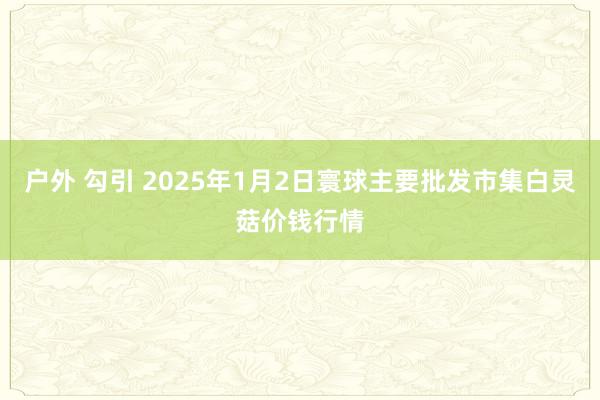 户外 勾引 2025年1月2日寰球主要批发市集白灵菇价钱行情