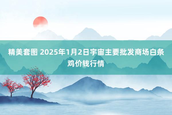 精美套图 2025年1月2日宇宙主要批发商场白条鸡价钱行情