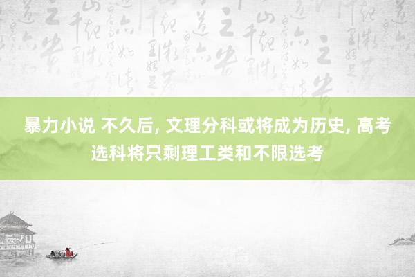 暴力小说 不久后， 文理分科或将成为历史， 高考选科将只剩理工类和不限选考