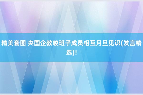 精美套图 央国企教唆班子成员相互月旦见识(发言精选)!