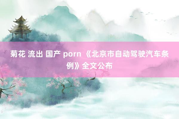 菊花 流出 国产 porn 《北京市自动驾驶汽车条例》全文公布