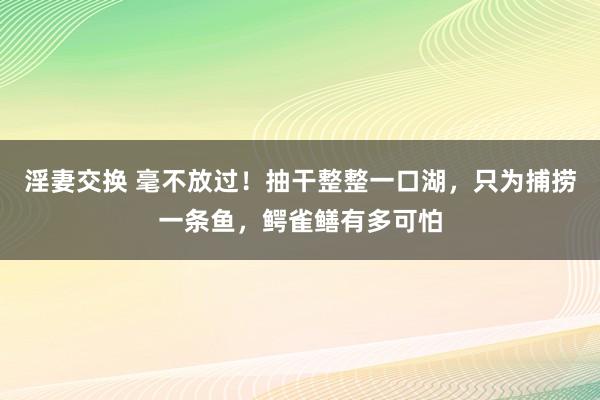 淫妻交换 毫不放过！抽干整整一口湖，只为捕捞一条鱼，鳄雀鳝有多可怕