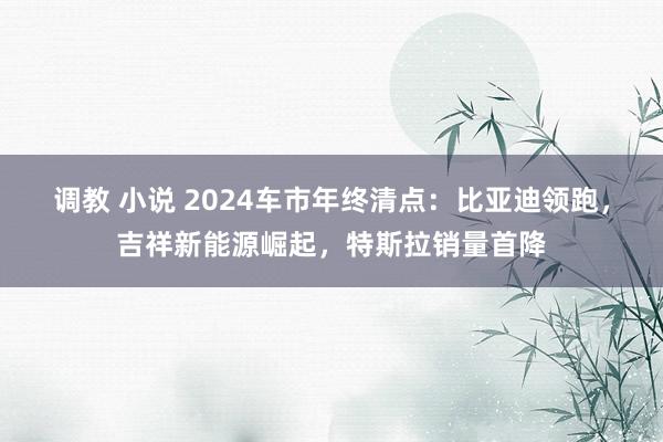 调教 小说 2024车市年终清点：比亚迪领跑，吉祥新能源崛起，特斯拉销量首降