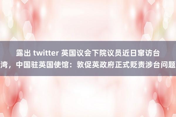 露出 twitter 英国议会下院议员近日窜访台湾，中国驻英国使馆：敦促英政府正式贬责涉台问题