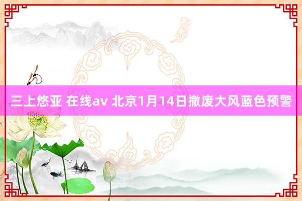 三上悠亚 在线av 北京1月14日撤废大风蓝色预警