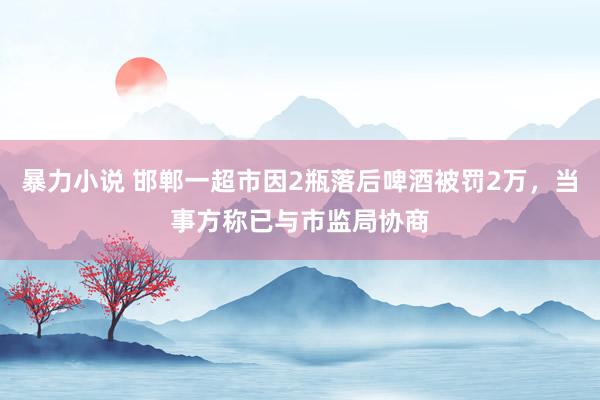 暴力小说 邯郸一超市因2瓶落后啤酒被罚2万，当事方称已与市监局协商