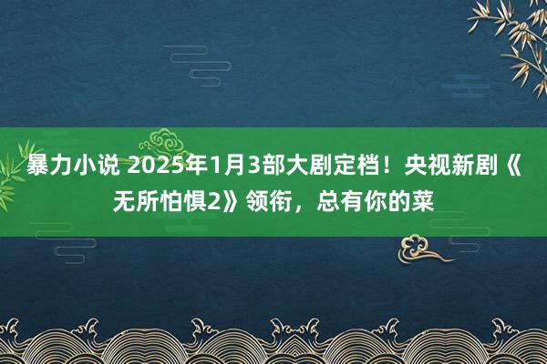 暴力小说 2025年1月3部大剧定档！央视新剧《无所怕惧2》领衔，总有你的菜