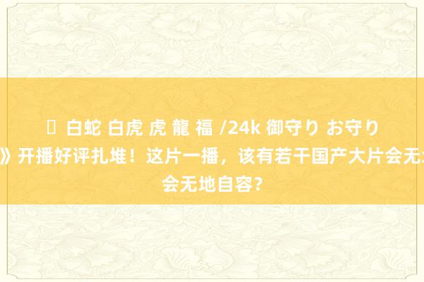 ✨白蛇 白虎 虎 龍 福 /24k 御守り お守り 《除匪》开播好评扎堆！这片一播，该有若干国产大片会无地自容？